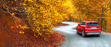 Car driving through the forest in autumn