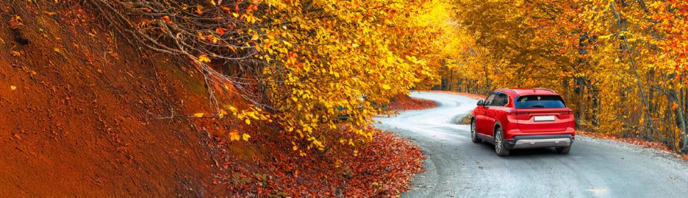 Car driving through forest in autumn