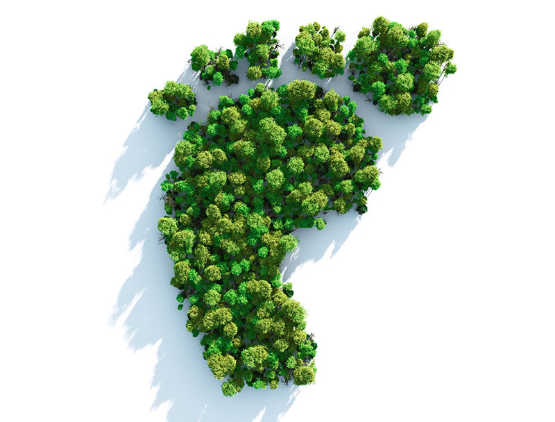 Trees laid out in the shape of a foot to represent carbon footprinting