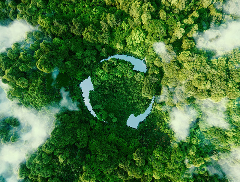 Recycling symbol on forest of trees