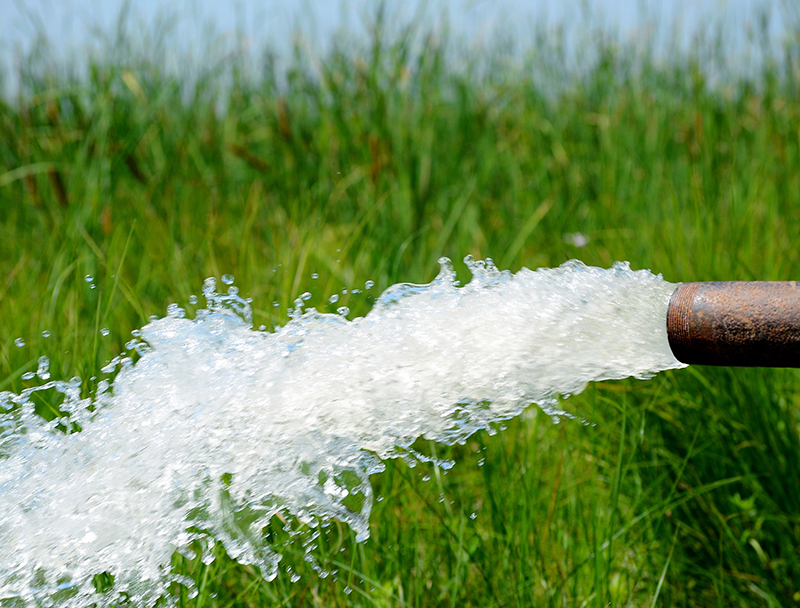 Water hose on crops