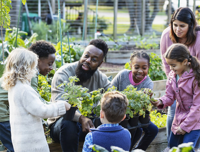 Adults and children enjoying planting in a garden