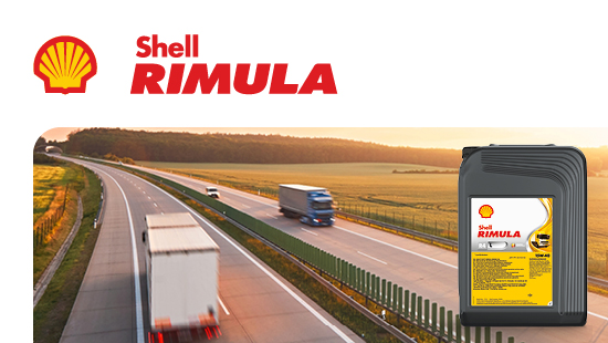 Shell Rimula