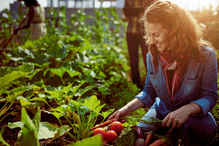 Organic Food Industry and Organic Compliant Foods