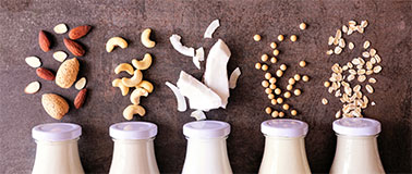 Plant-Based Milks