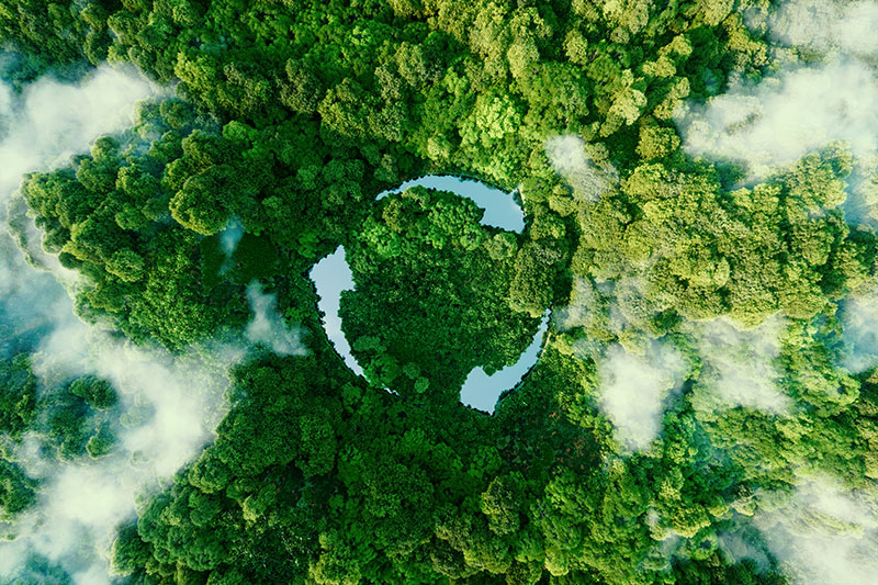 The recycling symbol superimposed over a rainforest