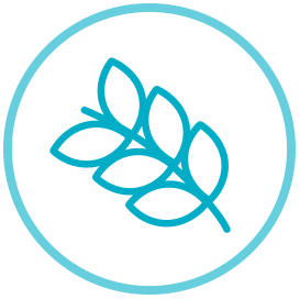 wheat stalk nested in a blue circle