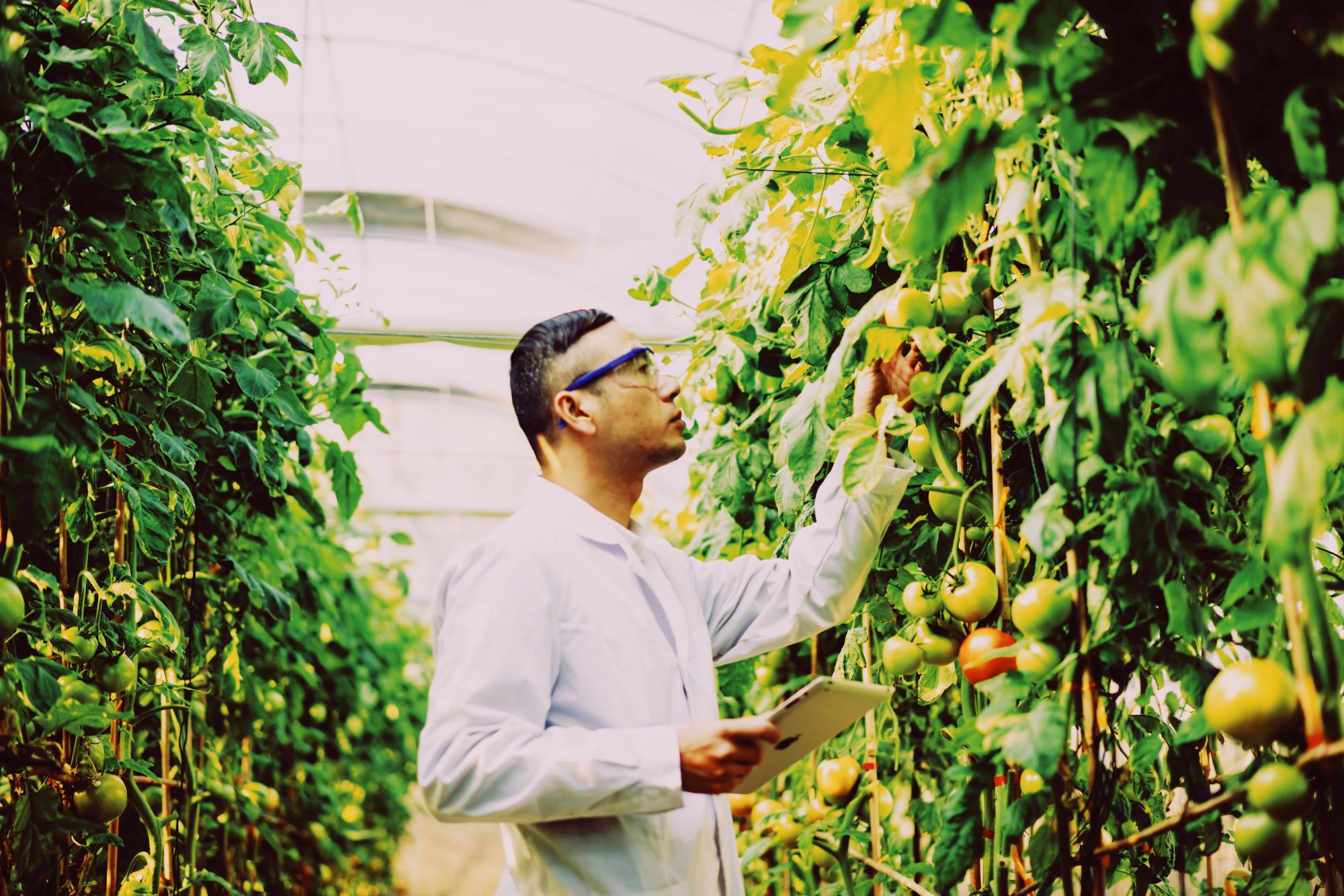 A food scientist tries to solve the mystery behind a citrus-based formulation