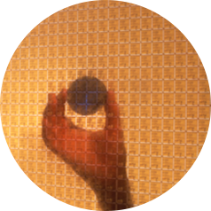 person holding a semiconductor plate